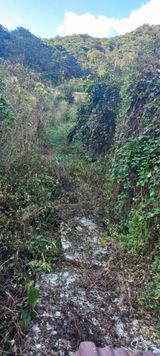 팜모닝 기타작물·영농일지 게시글 이미지