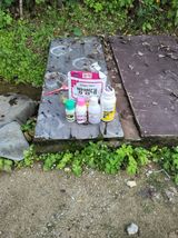 팜모닝 배추·영농일지 게시글 이미지