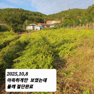 시민농장님의 들깨 · 영농일지 작성글 사진