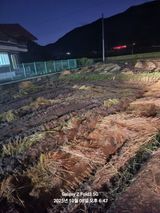 팜모닝 벼·영농일지 게시글 이미지