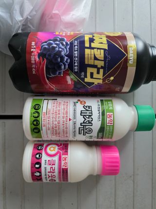 조용한하루님의 사과 · 영농일지 작성글 사진