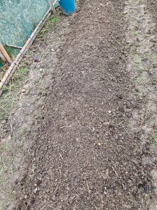 매실향기차향기님의 기타작물 · 영농일지 작성글 사진