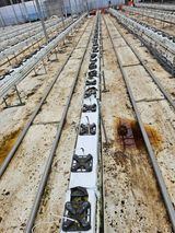 팜모닝 오이·영농일지 게시글 이미지