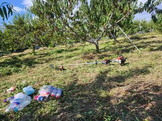 박병한님의 복숭아 · 영농일지 작성글 사진
