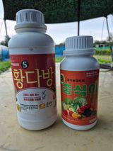 팜모닝 배추·영농일지 게시글 이미지