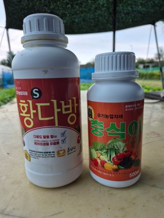 김한수님의 배추 · 영농일지 작성글 사진