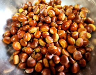 한상숙님의 고구마 · 영농일지 작성글 사진