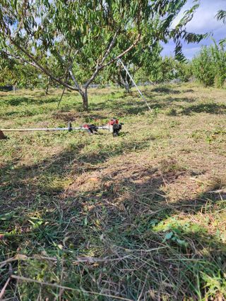 박병한님의 복숭아 · 영농일지 작성글 사진