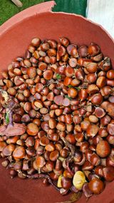 팜모닝 기타작물·영농일지 게시글 이미지