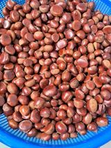 팜모닝 고구마·영농일지 게시글 이미지