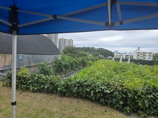 박병철님의 고추 · 영농일지 작성글 사진