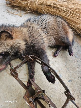 흥부네땅님의 기타작물 · 영농일지 작성글 사진