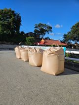 팜모닝 기타작물·영농일지 게시글 이미지