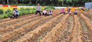 골드래곤님의 기타작물 · 영농일지 작성글 사진