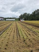 팜모닝 벼·영농일지 게시글 이미지