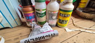 골드래곤님의 콩 · 영농일지 작성글 사진