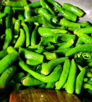 한상숙님의 고구마 · 영농일지 작성글 사진