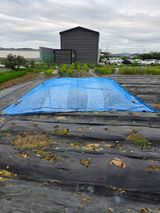 팜모닝 들깨·영농일지 게시글 이미지