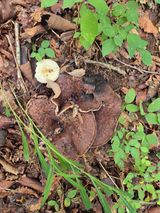 팜모닝 기타작물·영농일지 게시글 이미지