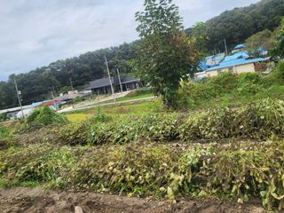 전선경님의 들깨 · 영농일지 작성글 사진