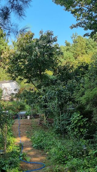 권혁렬님의 기타작물 · 영농일지 작성글 사진