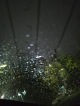 팜모닝 기타작물·영농일지 게시글 이미지