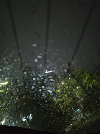 감자님의 기타작물 · 영농일지 작성글 사진