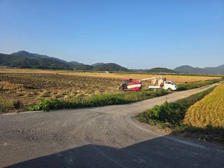 정정치님의 벼 · 영농일지 작성글 사진