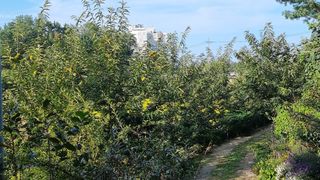 권혁렬님의 기타작물 · 영농일지 작성글 사진