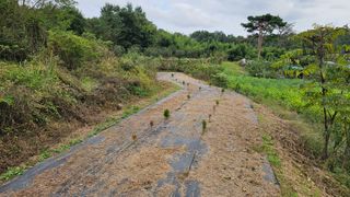 장정규님의 복숭아 · 영농일지 작성글 사진