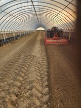 팜모닝 배추·영농일지 게시글 이미지