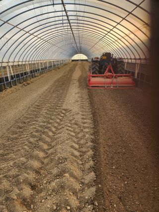 김저팔계님의 배추 · 영농일지 작성글 사진