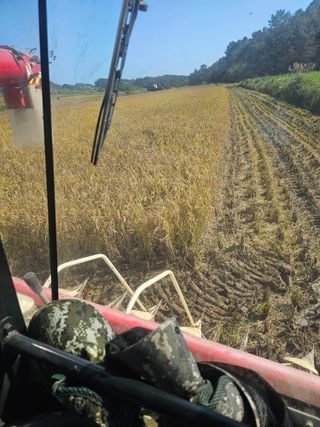 차춘석 님의 벼 · 영농일지 작성글 사진