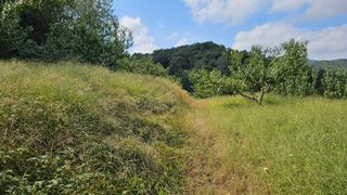 장정규님의 복숭아 · 영농일지 작성글 사진