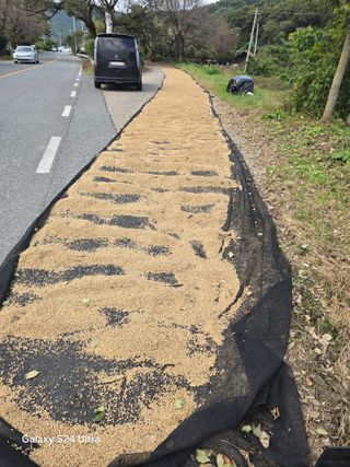 슈퍼땅콘님의 기타작물 · 영농일지 작성글 사진