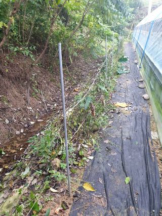 샤이니바다님의 기타작물 · 영농일지 작성글 사진