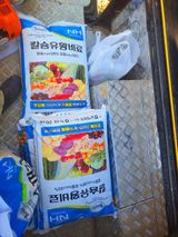 팜모닝 마늘·영농일지 게시글 이미지