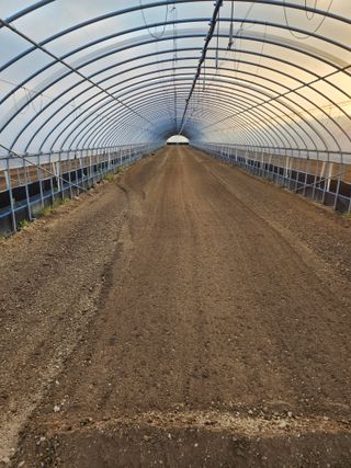 김저팔계님의 배추 · 영농일지 작성글 사진