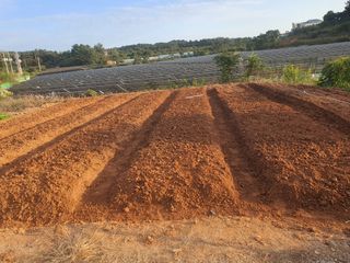 전주이상권님의 기타작물 · 영농일지 작성글 사진