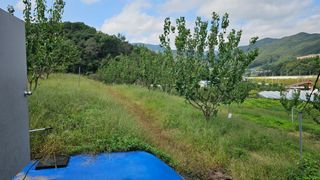 장정규님의 복숭아 · 영농일지 작성글 사진