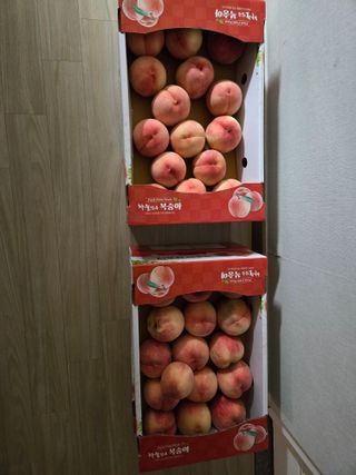 포도6841님의 복숭아 · 영농일지 작성글 사진