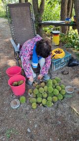 팜모닝 기타작물·영농일지 게시글 이미지