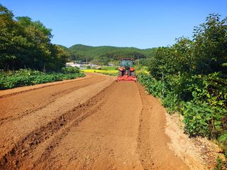 오이8898황산면님의 마늘 · 영농일지 작성글 사진