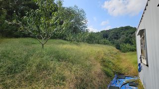 장정규님의 복숭아 · 영농일지 작성글 사진