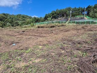 김기탁님의 기타작물 · 영농일지 작성글 사진