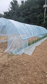 팜모닝 기타작물·영농일지 게시글 이미지