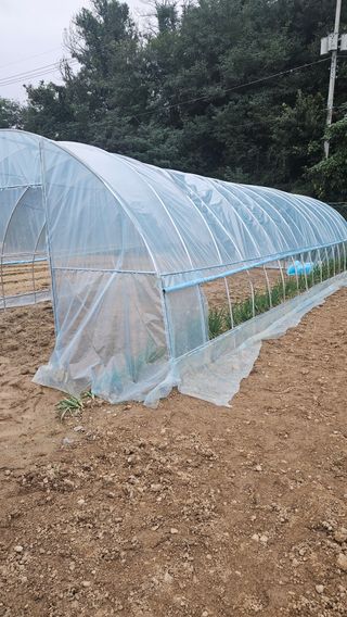 이순정님의 기타작물 · 영농일지 작성글 사진