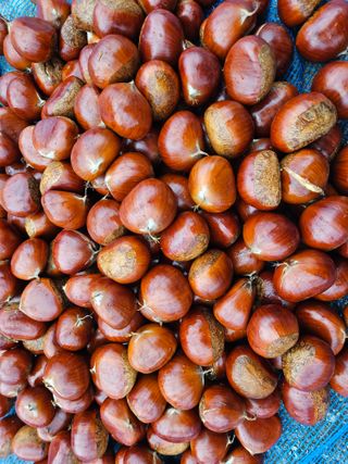 정택희님의 기타작물 · 영농일지 작성글 사진