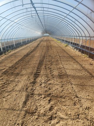 김저팔계님의 파 · 영농일지 작성글 사진