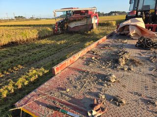 학당님의 벼 · 영농일지 작성글 사진